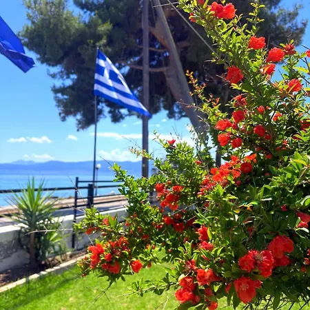 Sianos Διαμέρισμα Γιάλτρα